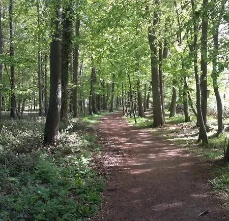 Wald-chalet-nr-1 * קלנהוזן